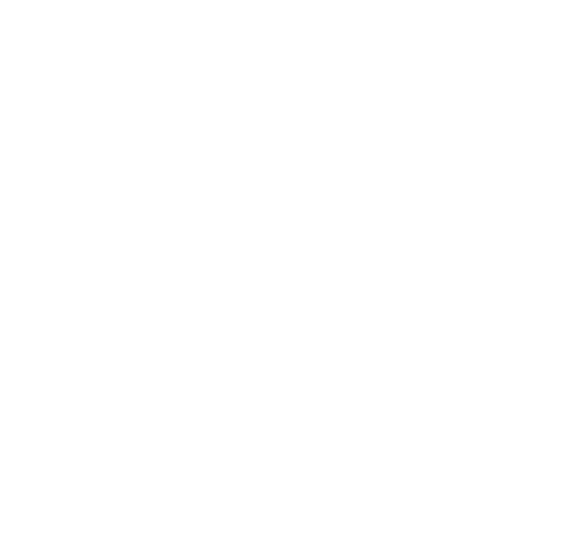 Government