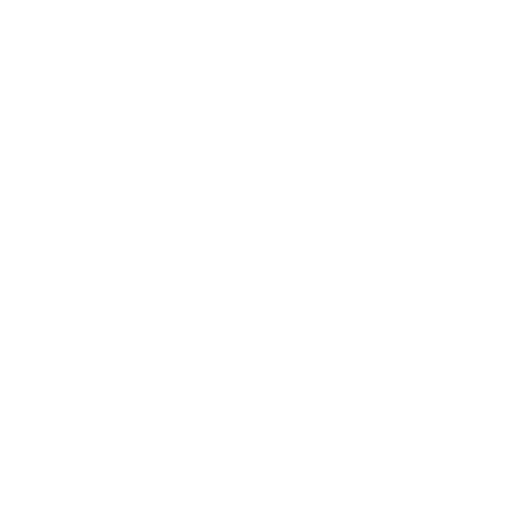 AI Solutions