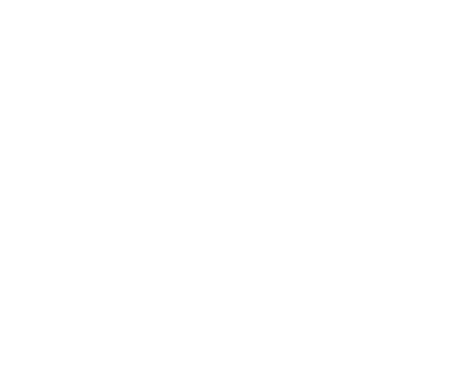 Business Intelligence