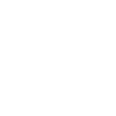 Our Vision