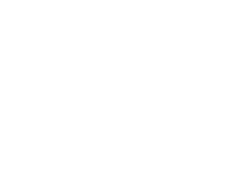 Deep AI Expertise