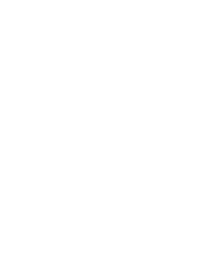 Enterprise-Grade Security